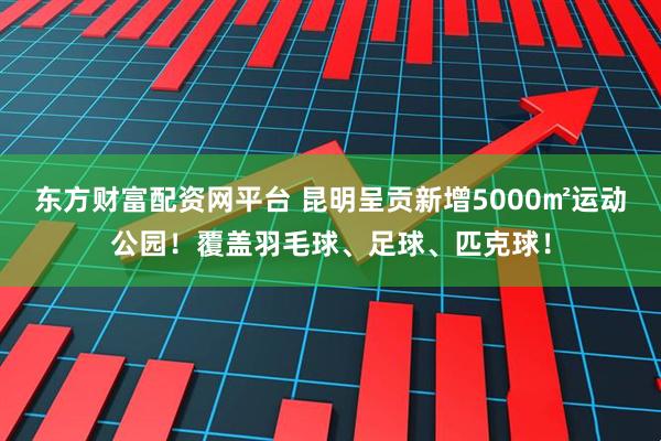 东方财富配资网平台 昆明呈贡新增5000㎡运动公园！覆盖羽毛球、足球、匹克球！