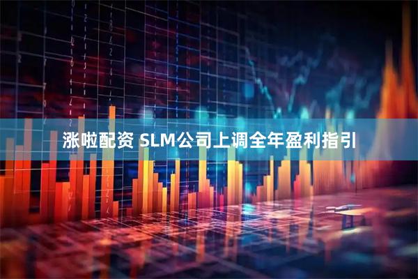 涨啦配资 SLM公司上调全年盈利指引