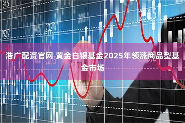 浩广配资官网 黄金白银基金2025年领涨商品型基金市场