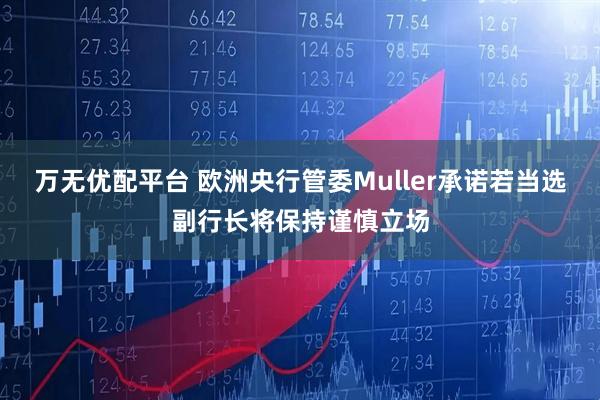 万无优配平台 欧洲央行管委Muller承诺若当选副行长将保持谨慎立场