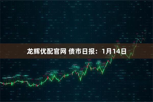 龙辉优配官网 债市日报：1月14日