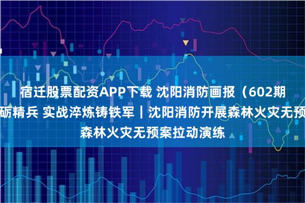 宿迁股票配资APP下载 沈阳消防画报（602期）演训为战砺精兵 实战淬炼铸铁军｜沈阳消防开展森林火灾无预案拉动演练