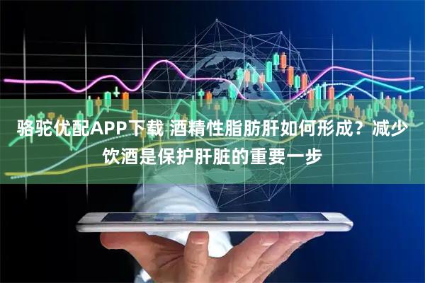 骆驼优配APP下载 酒精性脂肪肝如何形成？减少饮酒是保护肝脏的重要一步